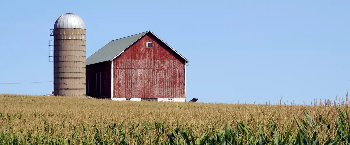 How Do Online Farm Supply Stores Compare to Tra...