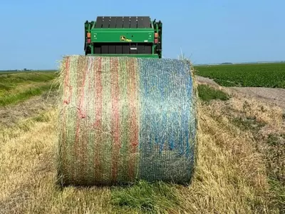 Where Can I Order Net Wrap and Baling Twine Onl...