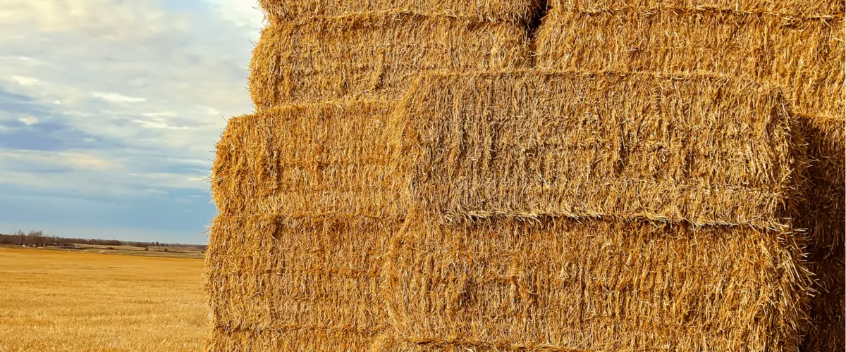 What Are Good Websites to Compare Prices on Dif...