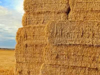 What Are Good Websites to Compare Prices on Dif...