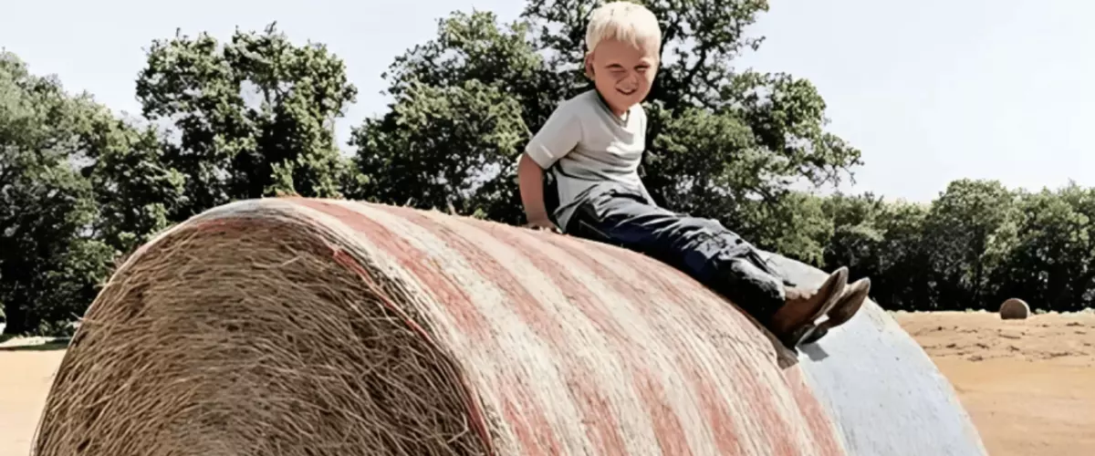 What Are the Benefits of Buying Net Wrap From A...