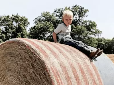 What Are the Benefits of Buying Net Wrap From A...