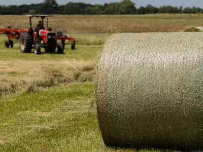 What Online Resources Explain How to Choose the...