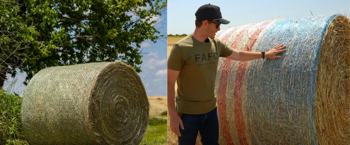 Where Can I Learn Online About Differences Betw...