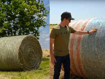 Where Can I Learn Online About Differences Betw...