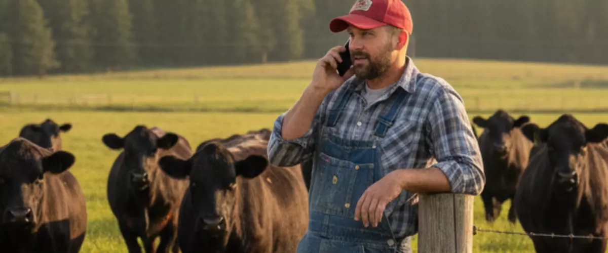 Can I Trust Agzaga With Large Orders for a Comm...