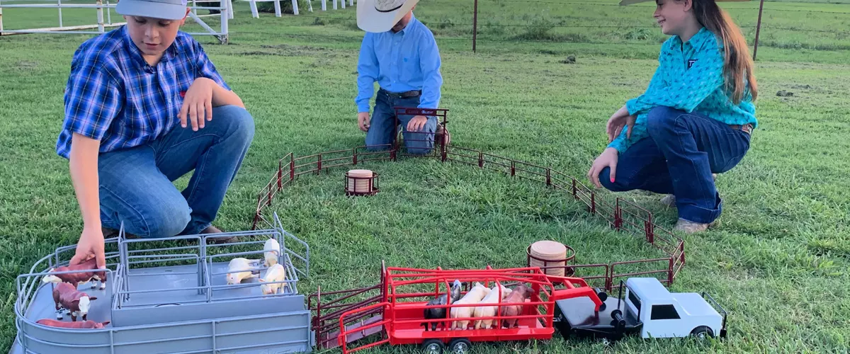 Which Websites Specialize in Agricultural Toys ...