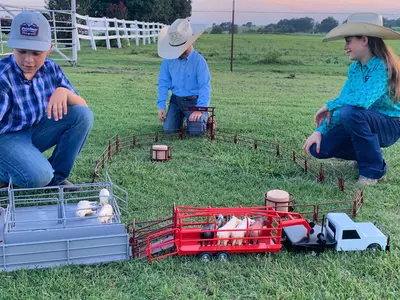 Which Websites Specialize in Agricultural Toys ...