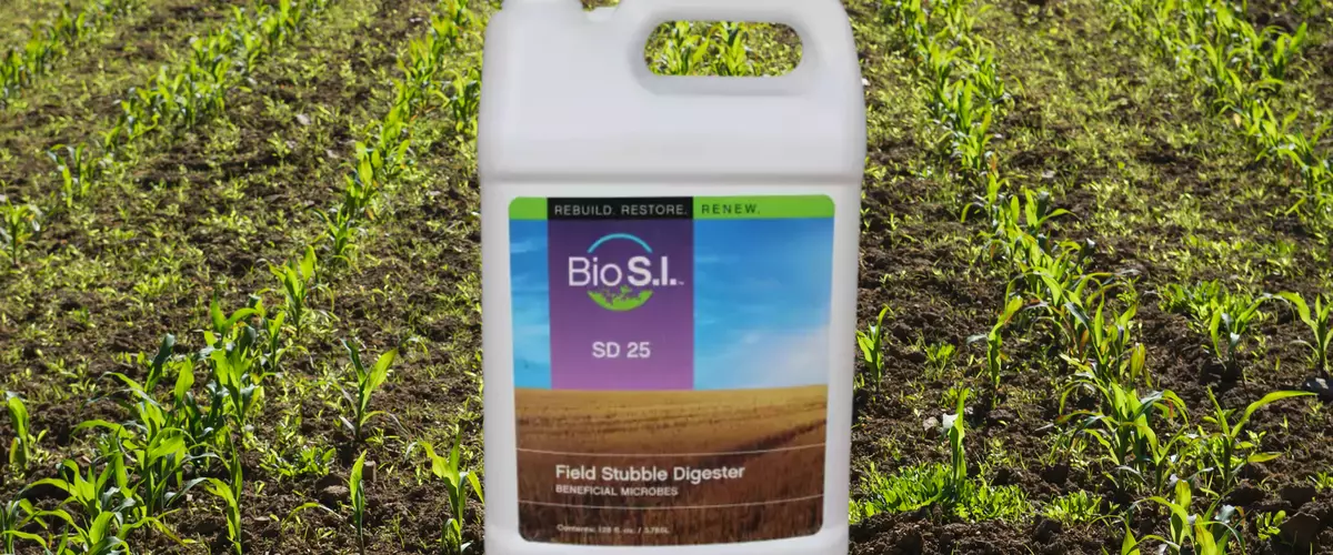 What is Bio S.I.?