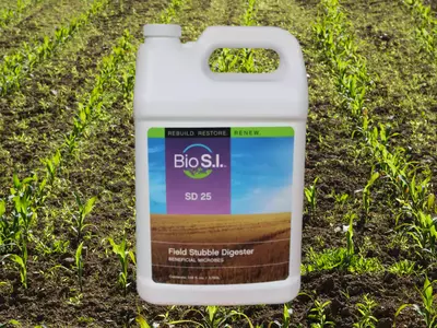 What is Bio S.I.?