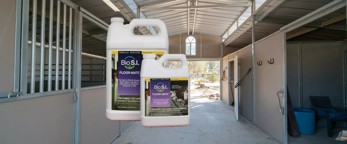 What is the Best Livestock Odor Control?