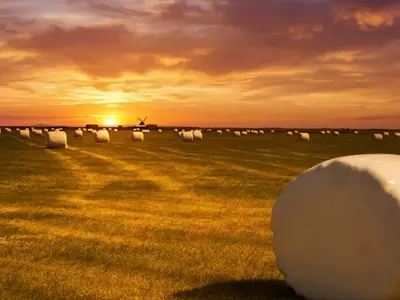 What is Silage Wrap Made From?