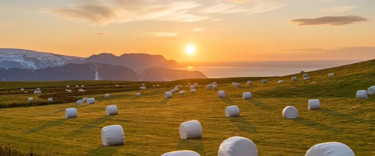 How Many Bales Will One Roll of Silage Wrap Make?