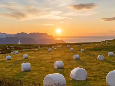 How Many Bales Will One Roll of Silage Wrap Make?