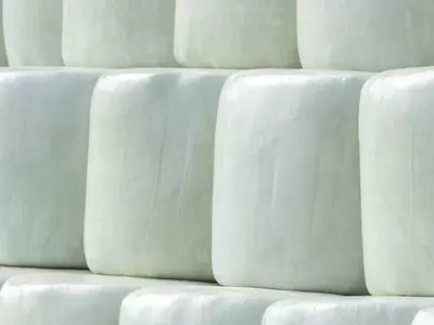 How Long After Baling Should You Wrap Baleage? ...