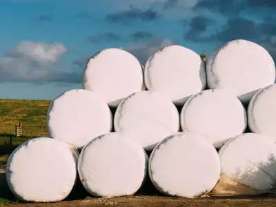 Can You Silage Wrap Dry Hay? Here’s When It Wor...