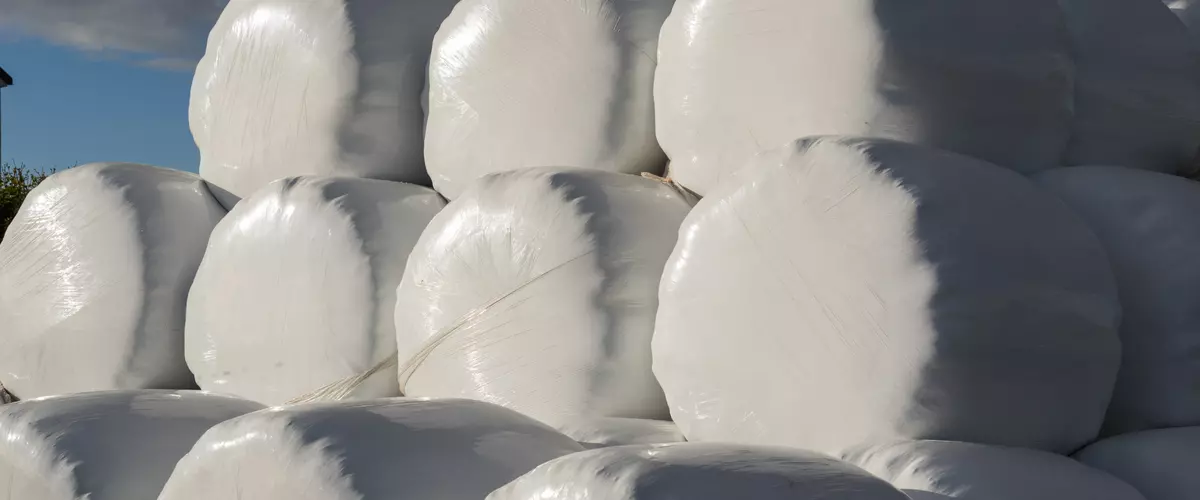 Sunfilm vs Sunfilm Gold vs Sunfilm GoldMax: Whi...