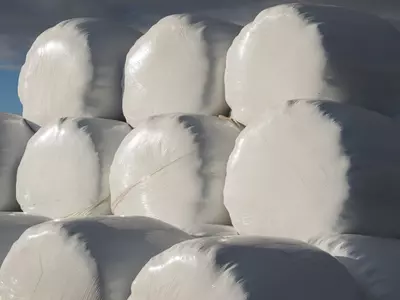 Sunfilm vs Sunfilm Gold vs Sunfilm GoldMax: Whi...