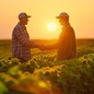 What Does Real Customer Service Look Like in Ag?