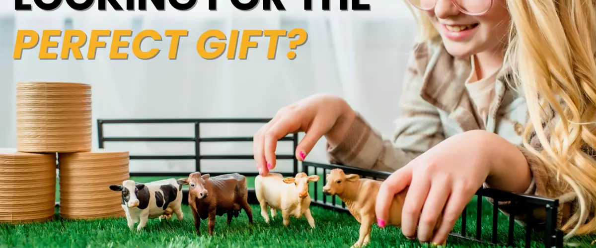 Are Zaga Toys good gifts?