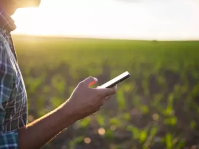 The Impact of Agzaga.com on the Agriculture Ind...
