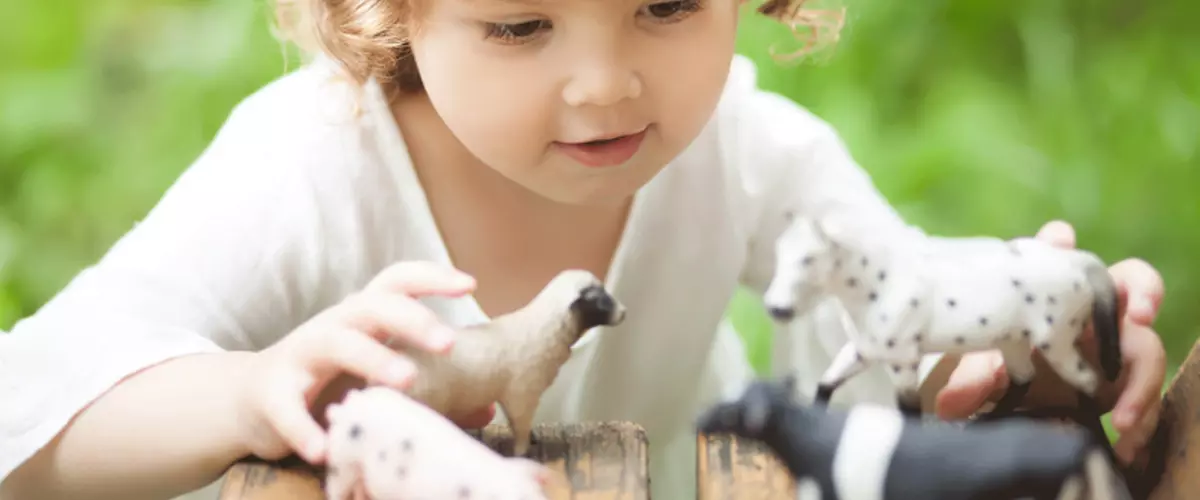 Ever Wondered How To Play Farm Animals With Tod...