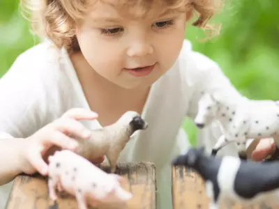 Ever Wondered How To Play Farm Animals With Tod...