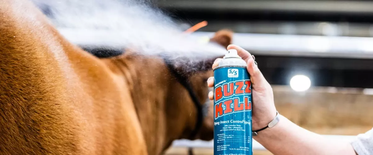 Does Buzz Kill Fly Spray actually work on show ...