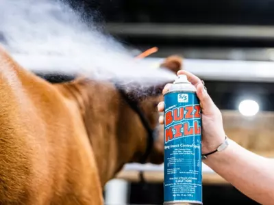 Does Buzz Kill Fly Spray actually work on show ...