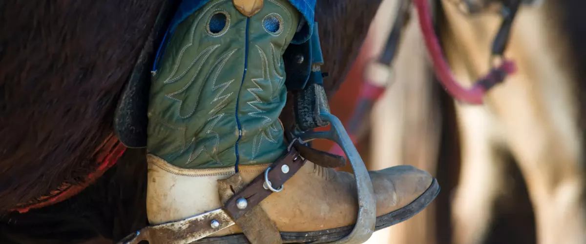 What are horse spurs used for in riding?