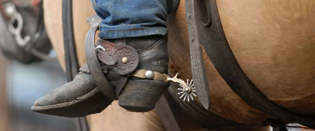 How do I choose the right type of spurs for my ...