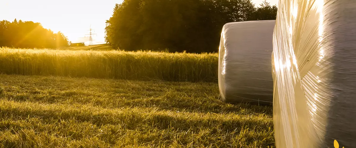 How Many Layers of Silage Wrap Do You Really Need?