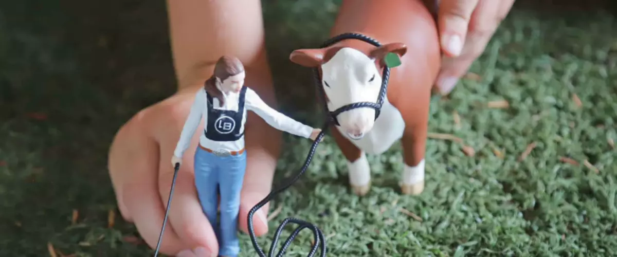 Animal Figure Toys: A Quick and Comprehensive G...