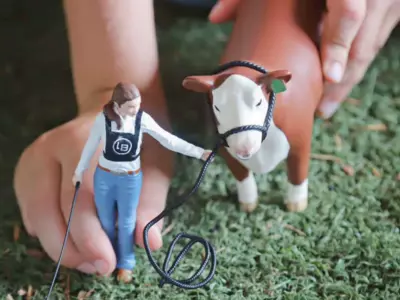 Animal Figure Toys: A Quick and Comprehensive G...