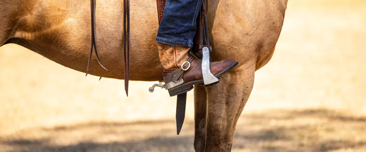 How do I use spurs effectively without hurting ...