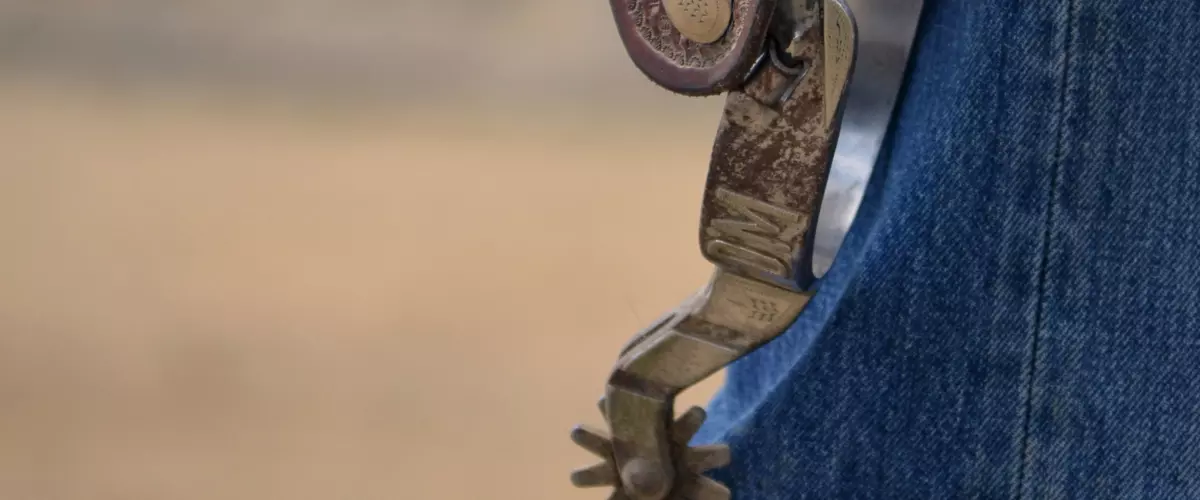 What are the different types of spur rowels and...