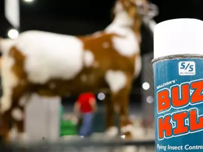 Can I get Buzz Kill Fly Spray shipped fast?