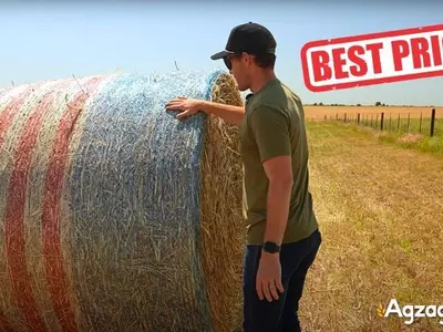 Does Agzaga offer better prices than local farm...