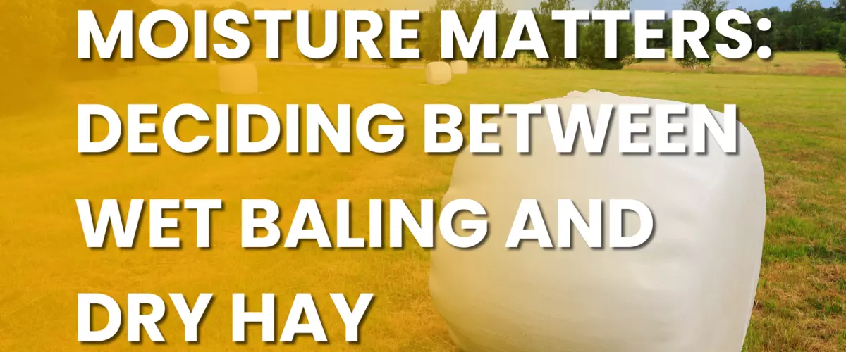 Moisture Matters: Deciding Between Wet Baling a...