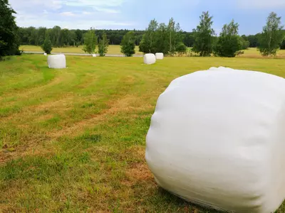 Moisture Matters: Deciding Between Wet Baling a...