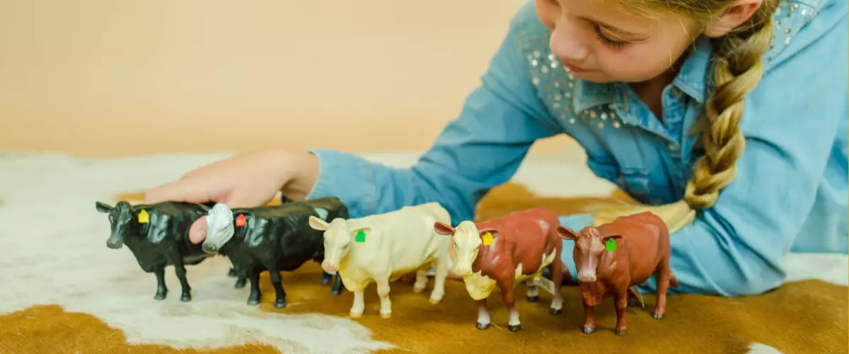 Are Little Buster farm toys worth the price?
