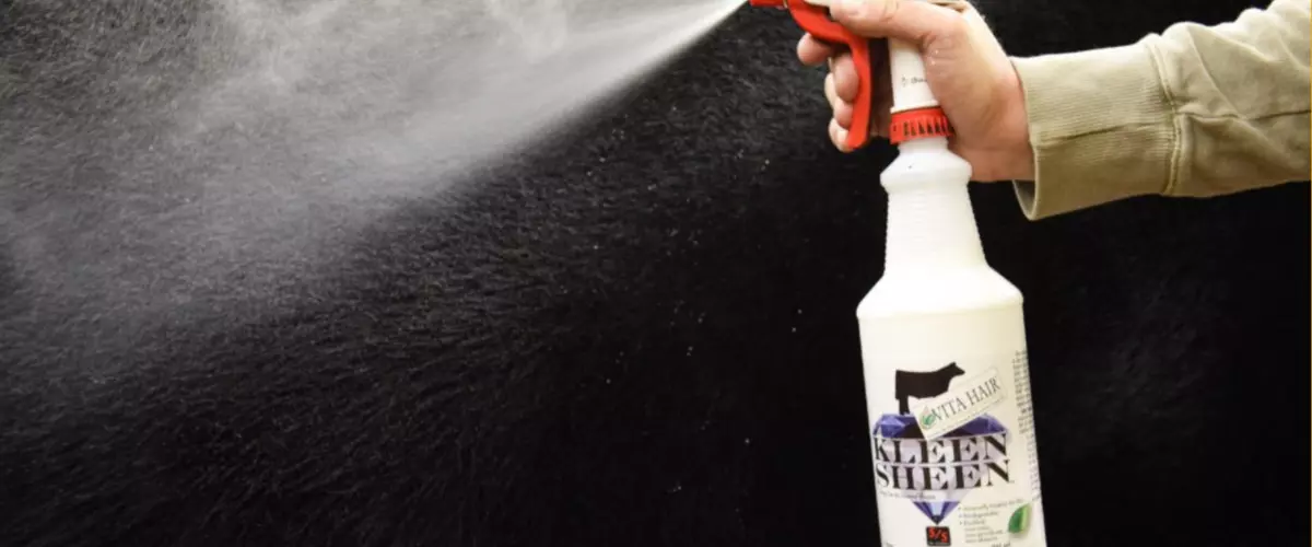 Is Kleen Sheen good for daily cattle hair care?
