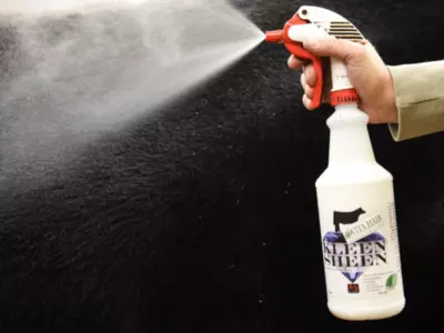 Is Kleen Sheen good for daily cattle hair care?