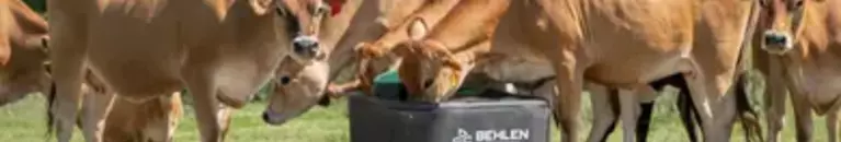 Behlen Country. Built to Last.  advertisement