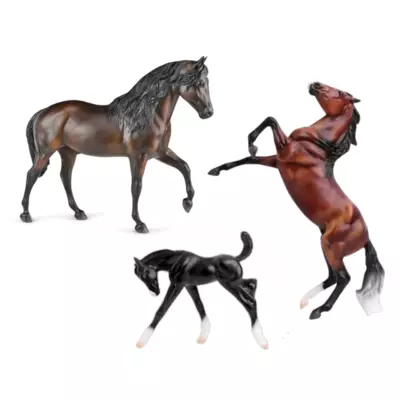 wild_and_free_set_with_paso_fi