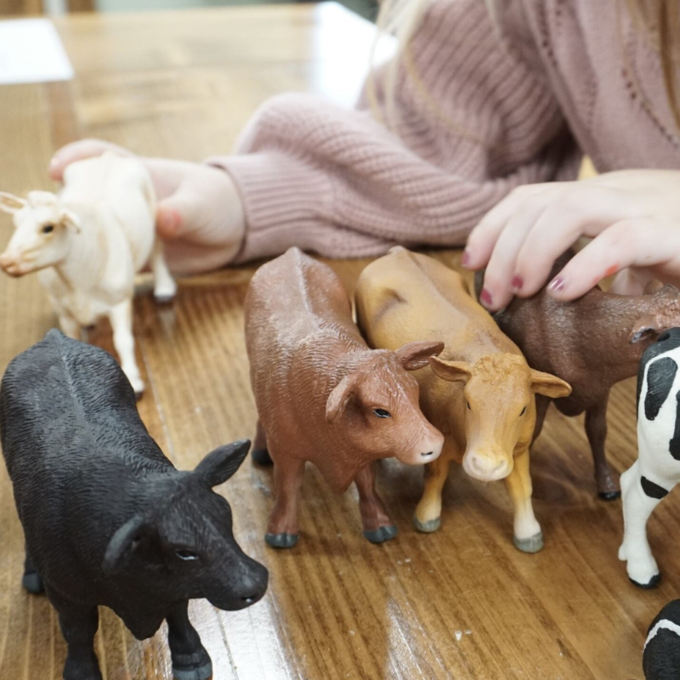 Ultimate Cow Bundle | Lifelike Set with Bulls, Cows & Calves | Zaga Toys Farm Collection