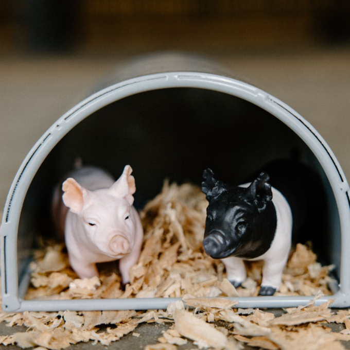Little Buster Toys Champion Hampshire Show Pig