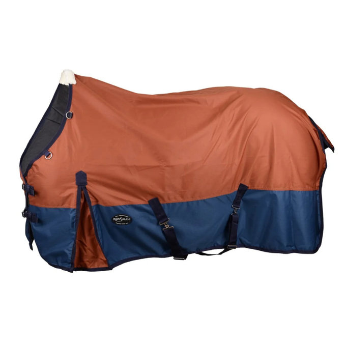 Reinsman Classic Turnout Winter Blanket | 600D Waterproof Horse Blanket with 200g Insulation