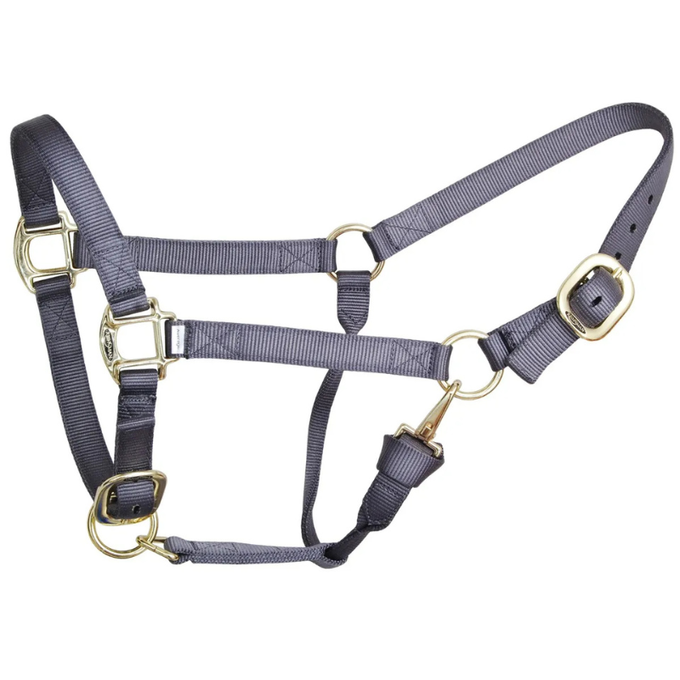 Reinsman Deluxe Nylon Adjustable Halter | 1" Durable Horse Halter with Brass Hardware & Adjustable Fit | Multiple Colors
