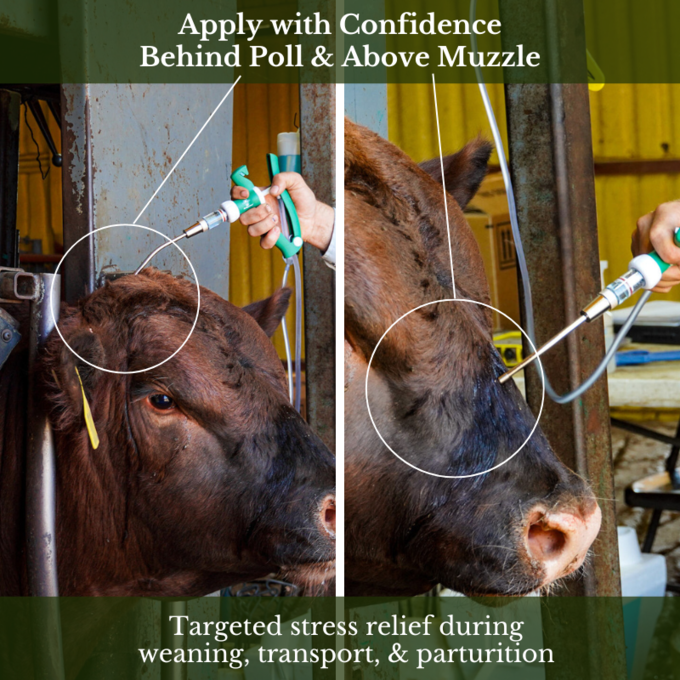 FerAppease Bovine® 1000ml Starter Bundle